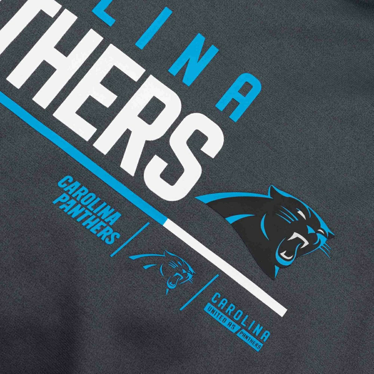 Carolina Panthers Community Therma Dri-FIT NFL Hoodie Anthracite Taass sale