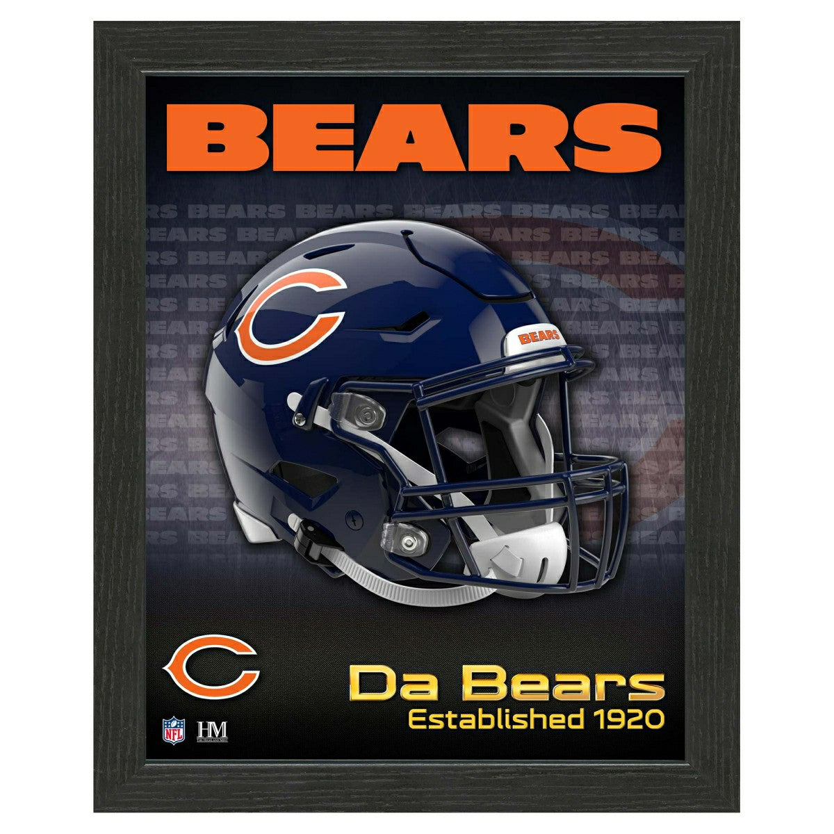Chicago Bears NFL Team Helmet Framed Photo Taass US