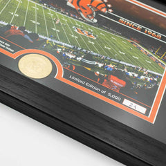 Cincinnati Bengals Team Stadium Bronze Coin Framed NFL Photo Taass US