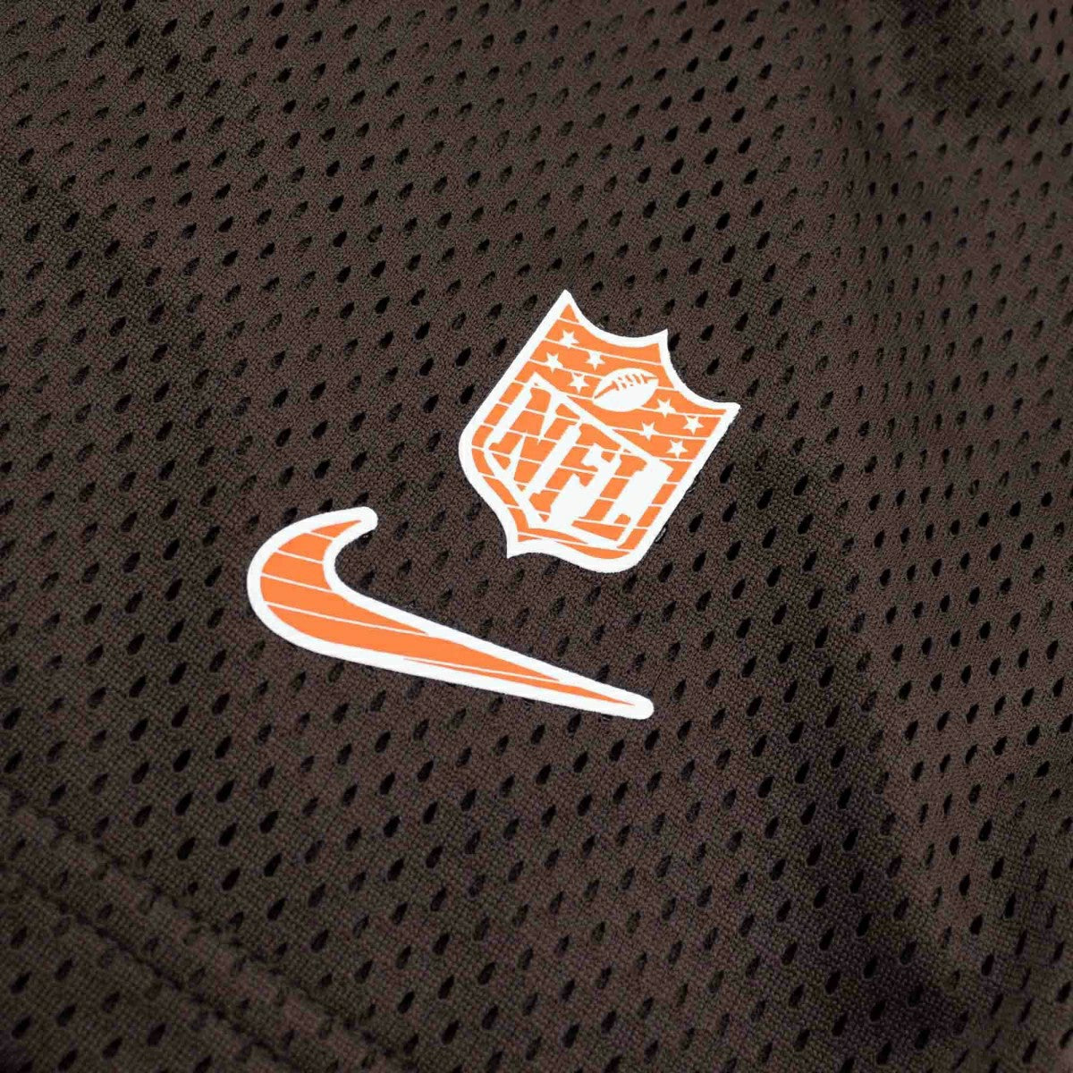 Cleveland Browns 2024 NFL Sideline Mesh Nike Dri-FIT Shorts Brown Classic