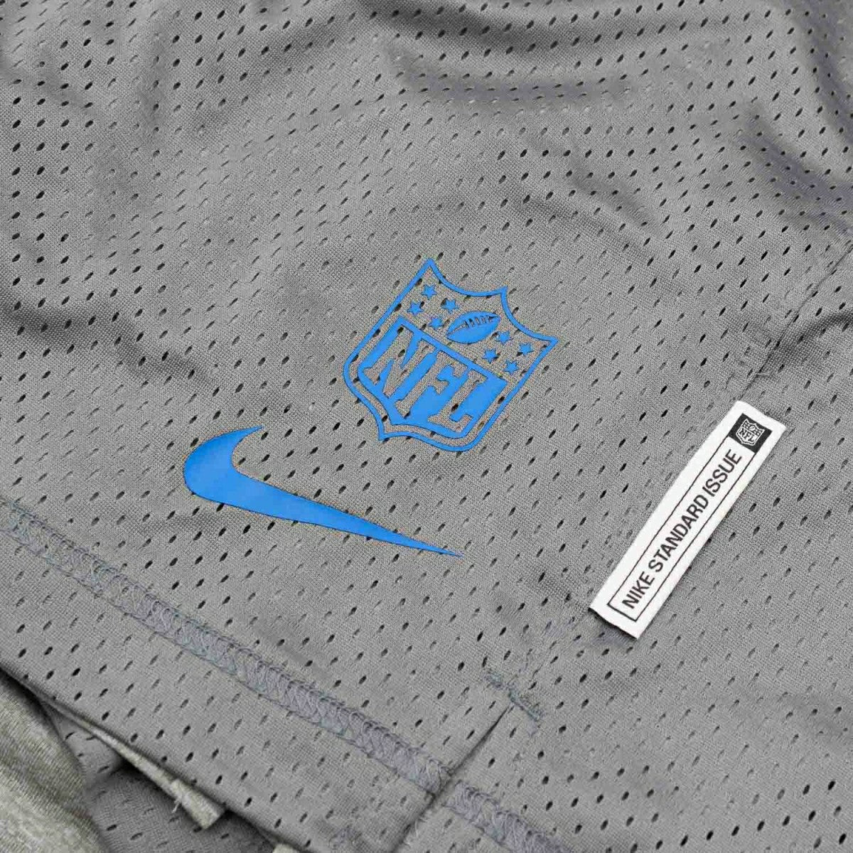 Detroit Lions 2025 NFL Sideline Reversible Mesh Nike Dri-FIT Shorts Gray Fashion