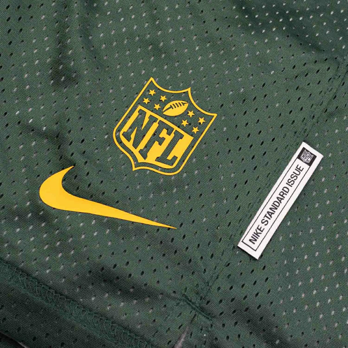 Green Bay Packers 2025 NFL Sideline Reversible Mesh Nike Dri-FIT Shorts Green Classic