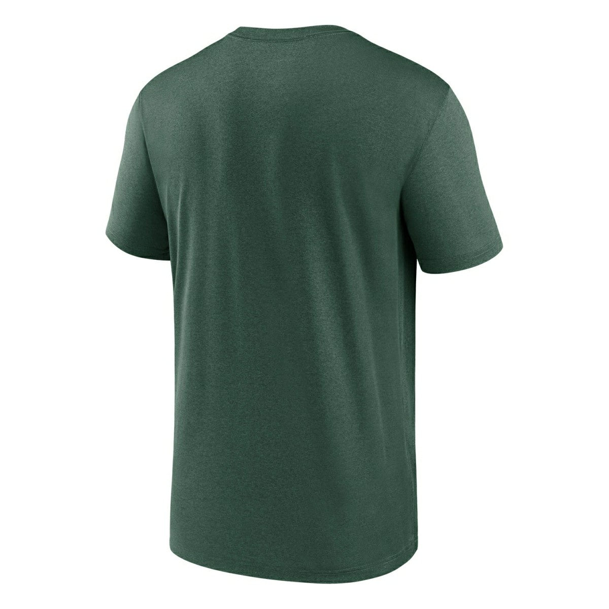 Green Bay Packers 2025 Icon Nike Legend NFL T-Shirt Green Lifestyle