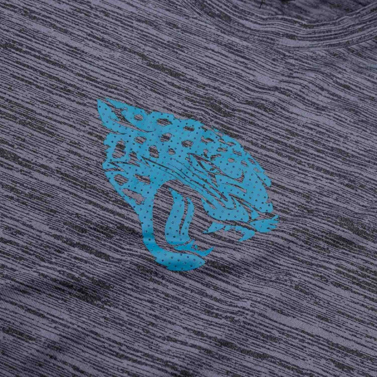 Jacksonville Jaguars 2025 NFL Sideline Nike Velocity Performance T-Shirt Gray Lifestyle