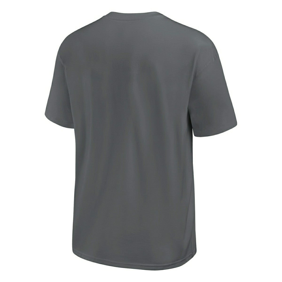 Las Vegas Raiders Nike Glory Max 90 NFL T-Shirt Anthrazit Classic