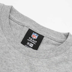 Miami Dolphins Sport Classics Oversized NFL T-Shirt Gray Taass sale