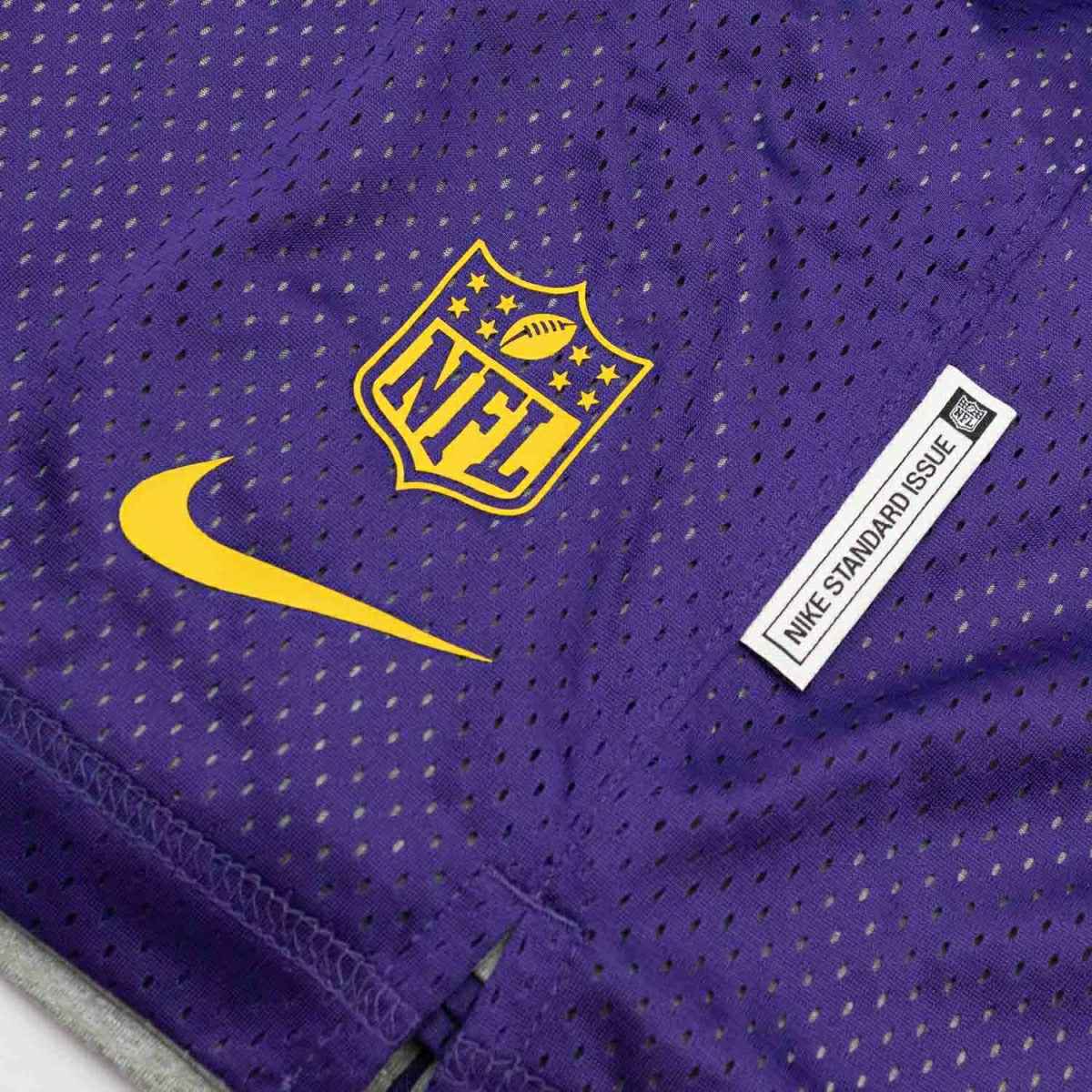 Minnesota Vikings 2025 NFL Sideline Reversible Mesh Nike Dri-FIT Shorts Purple Taass US