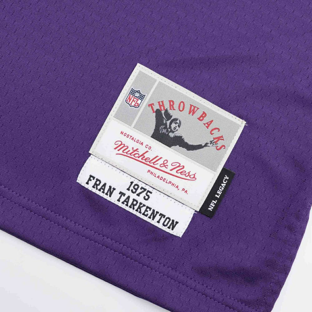 Fran Tarkenton #10 Minnesota Vikings Mitchell & Ness Throwback NFL Jersey Purple Fashion