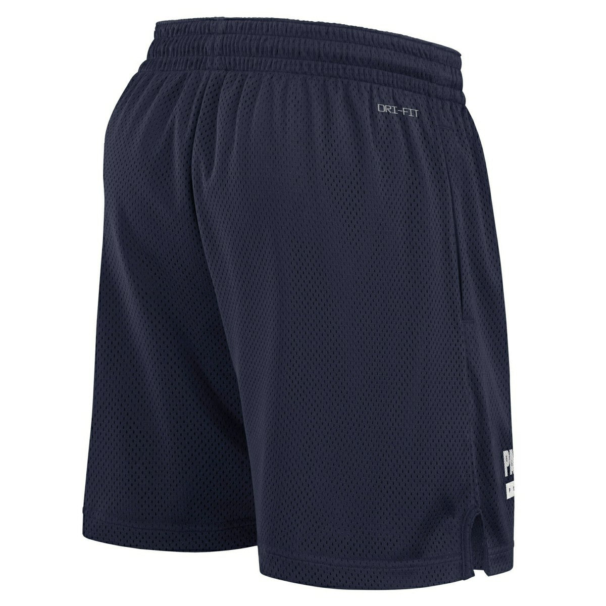 New England Patriots 2024 NFL Sideline Mesh Nike Dri-FIT Shorts Navy Taass US
