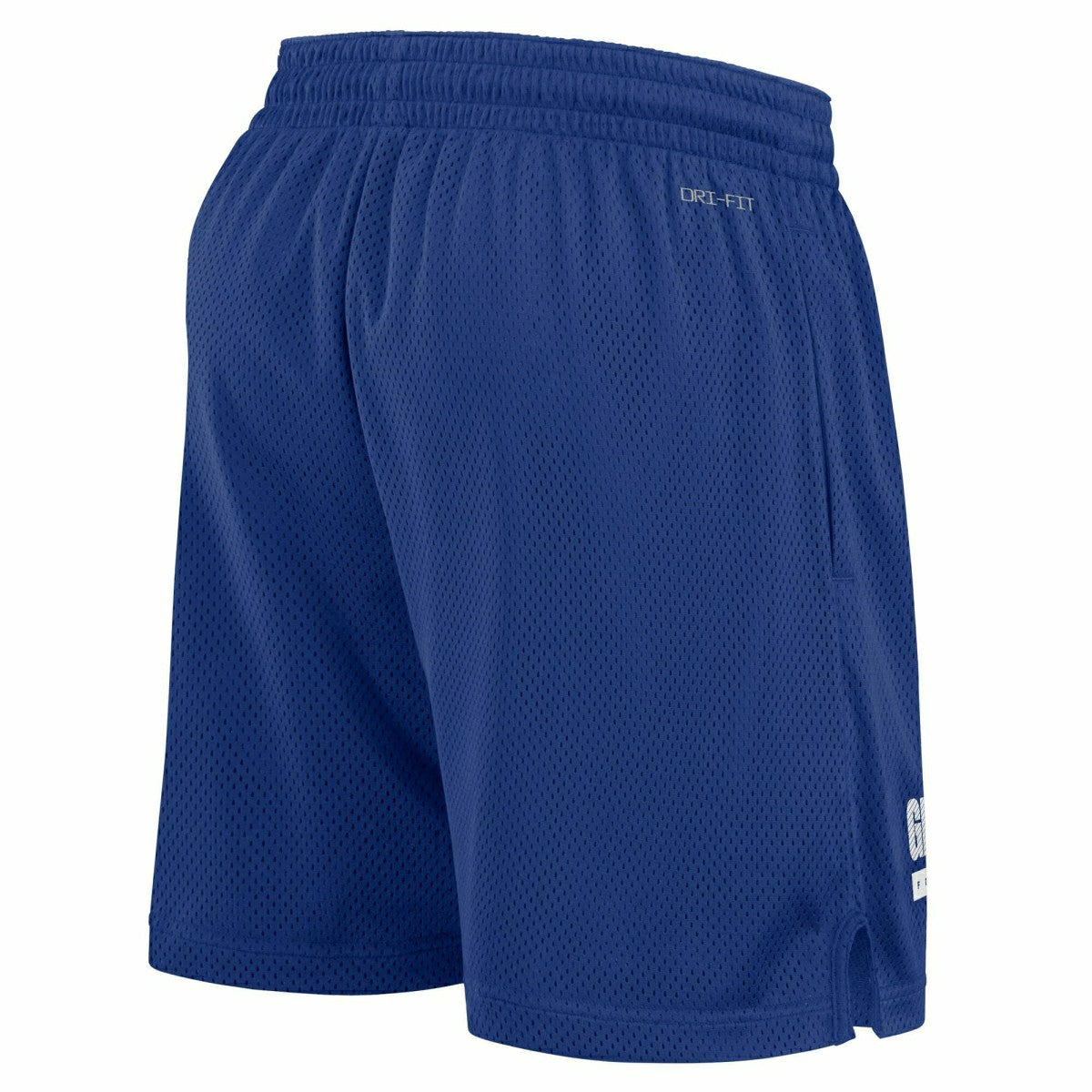 New York Giants 2024 NFL Sideline Mesh Nike Dri-FIT Shorts Blue Fashion