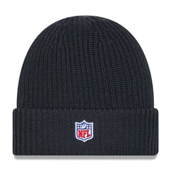 Philadelphia Eagles 2025 NFL Sideline Steel Clouds Cuff Knit Beanie Fashion