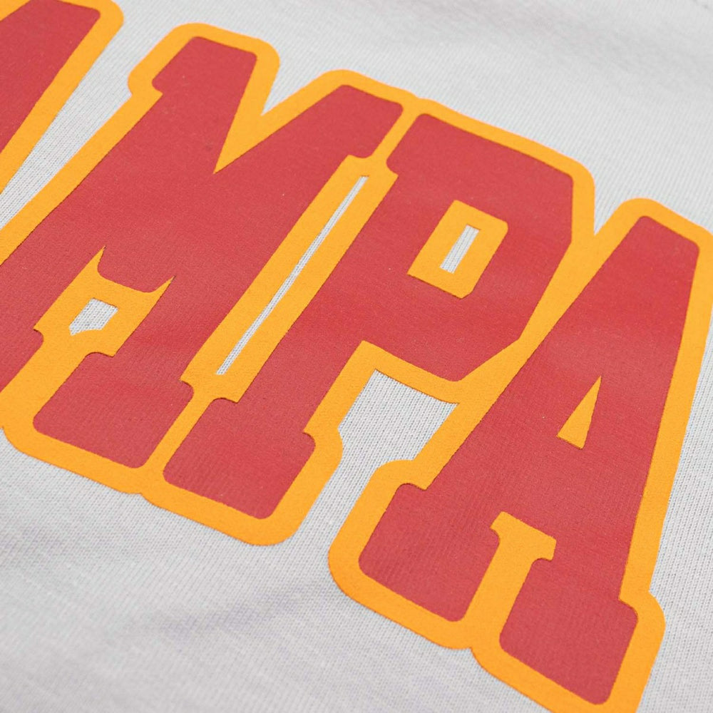 Tampa Bay Buccaneers Wordmark Nike Max 90 NFL T-Shirt Gray Lifestyle