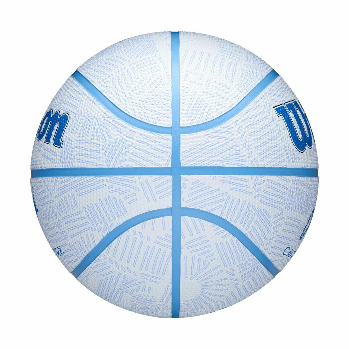 Caitlin Clark Envision Wilson Basketball (Size 6) Taass sale