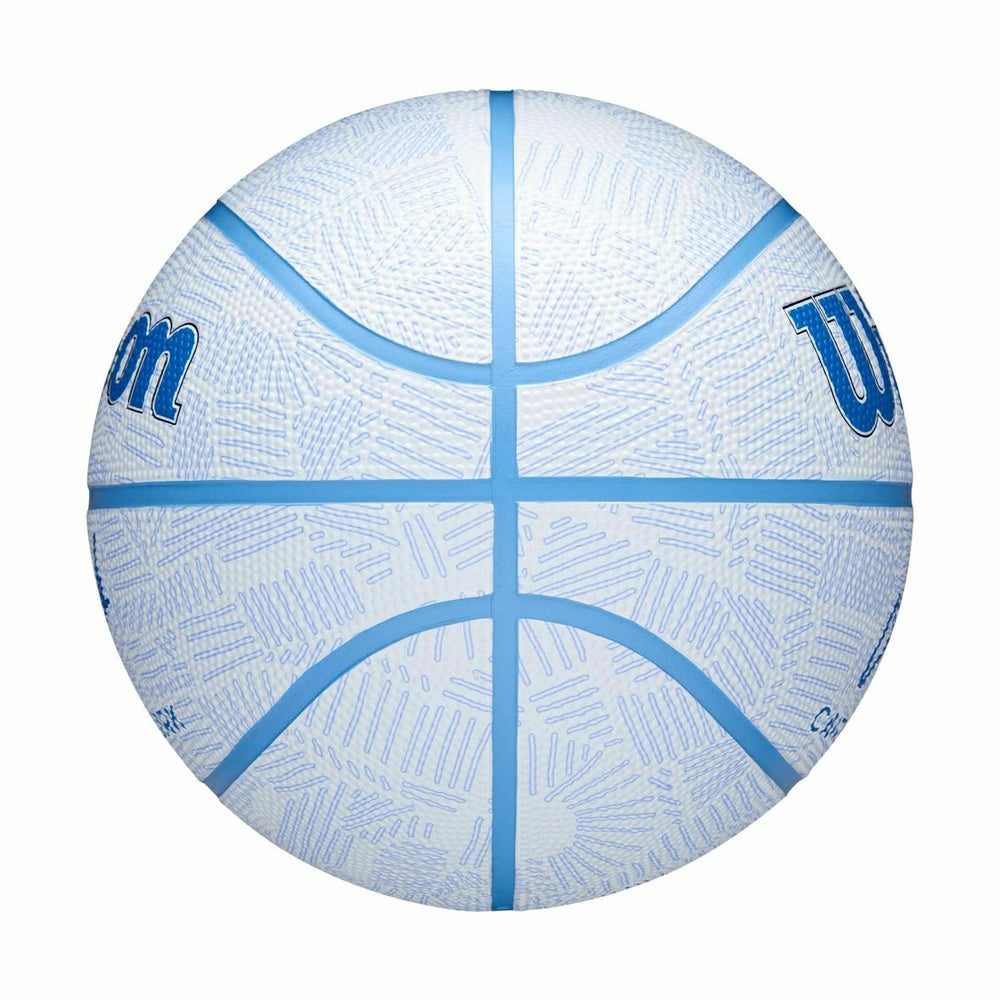 Caitlin Clark Envision Wilson Basketball (Size 6) Taass sale