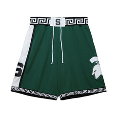 Michigan State Spartans 1999-00 Mitchell & Ness Swingman NCAA Shorts Green Taass for sale