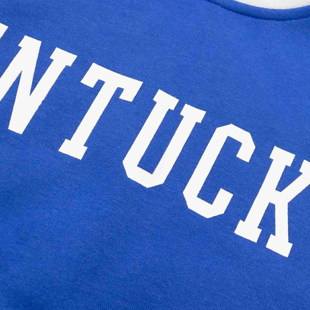 Kentucky Wildcats Colorblock Badge NCAA Hoodie Lifestyle