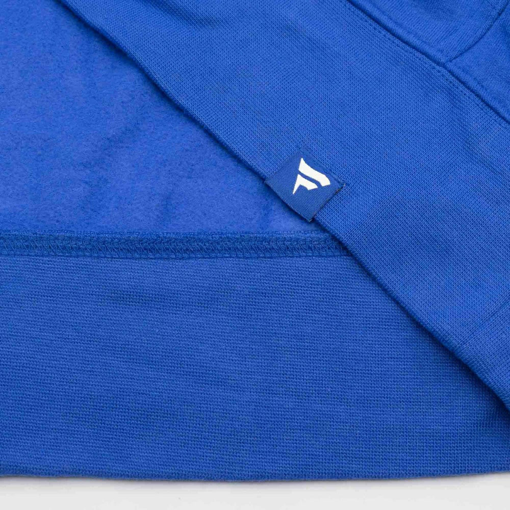 Kentucky Wildcats Colorblock Badge NCAA Hoodie Lifestyle