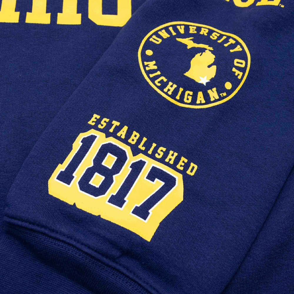 Michigan Wolverines Colorblock Badge NCAA Hoodie Taass for sale