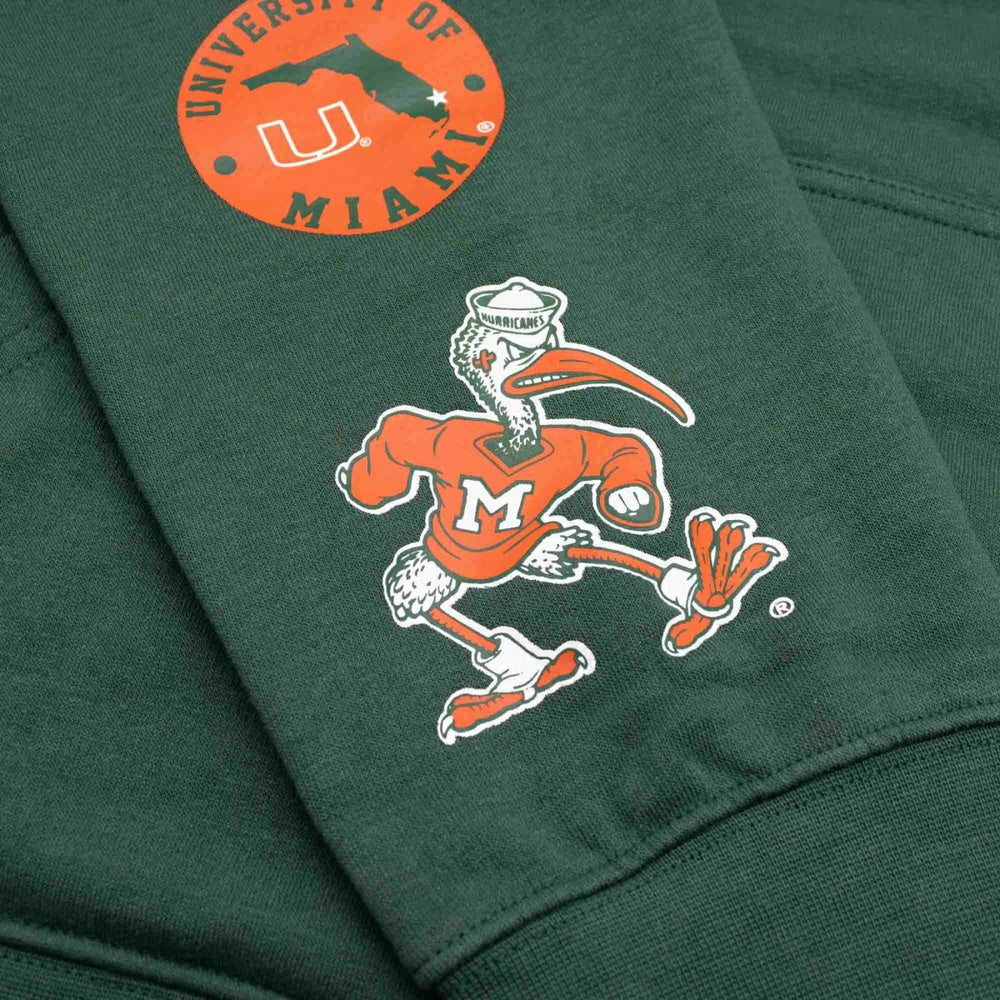 Miami Hurricanes Colorblock Badge NCAA Hoodie Taass US