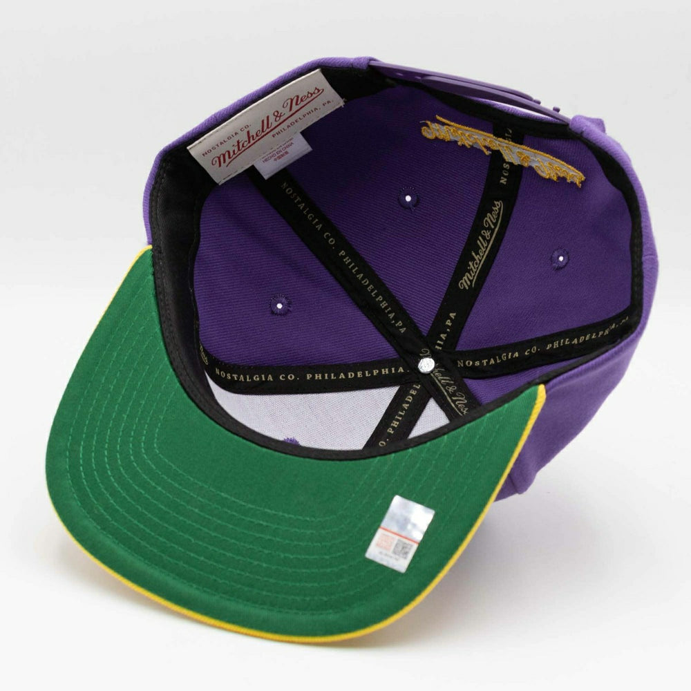 LSU Tigers Team Tone Mitchell & Ness Original Fit Snapback NCAA Cap Classic
