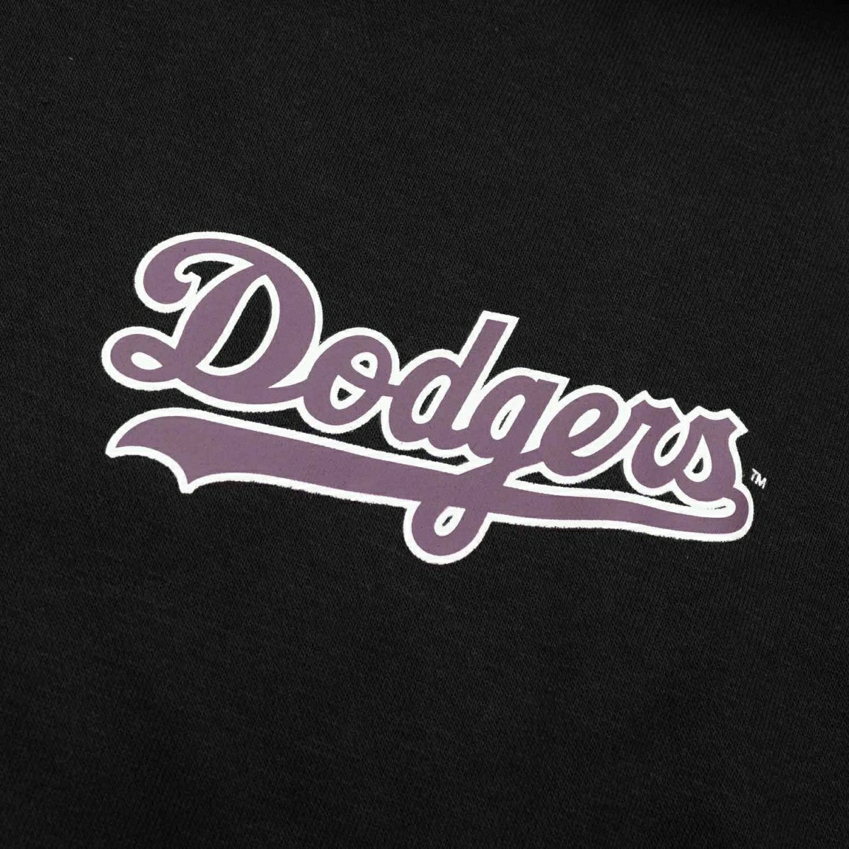 Los Angeles Dodgers Wordmark Backer '47 Burnside MLB Hoodie Black Taass for sale