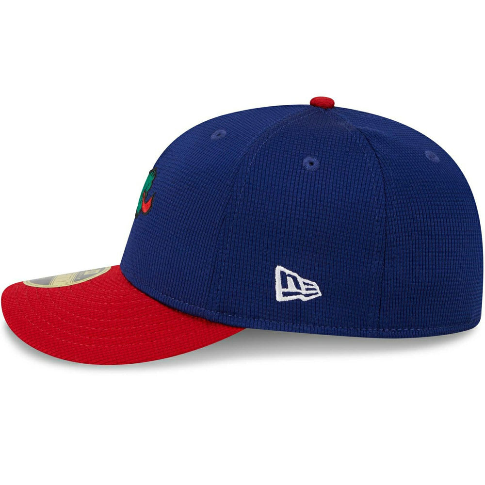 Philadelphia Phillies 2025 MLB Batting Practice New Era Low Profile 59FIFTY Fitted Cap Taass US