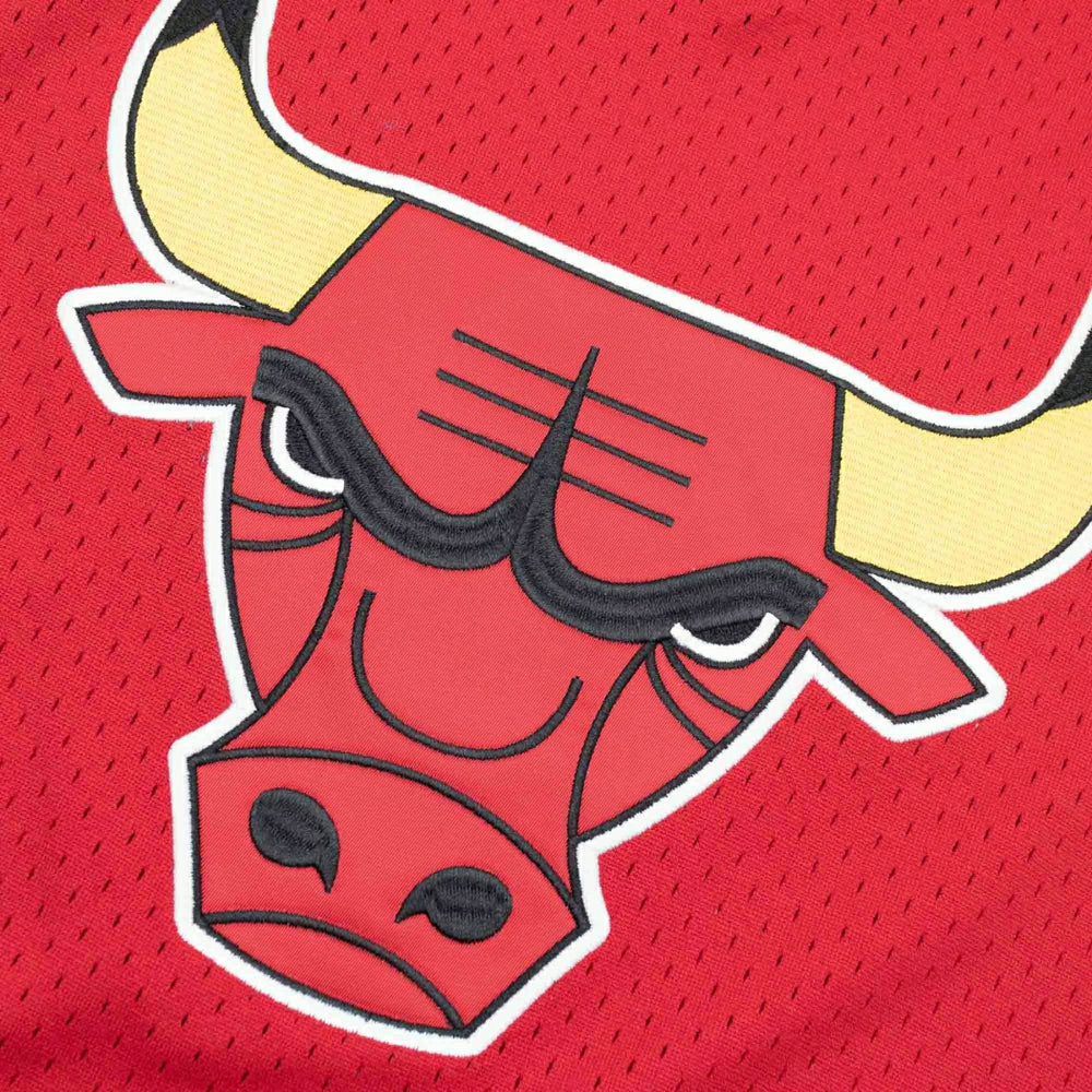 Chicago Bulls Unbeaten Mitchell & Ness NBA V-Neck Mesh Shirt Red Classic