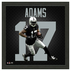 Davante Adams #17 Las Vegas Raiders Impact Jersey Framed NFL Photo Taass sale