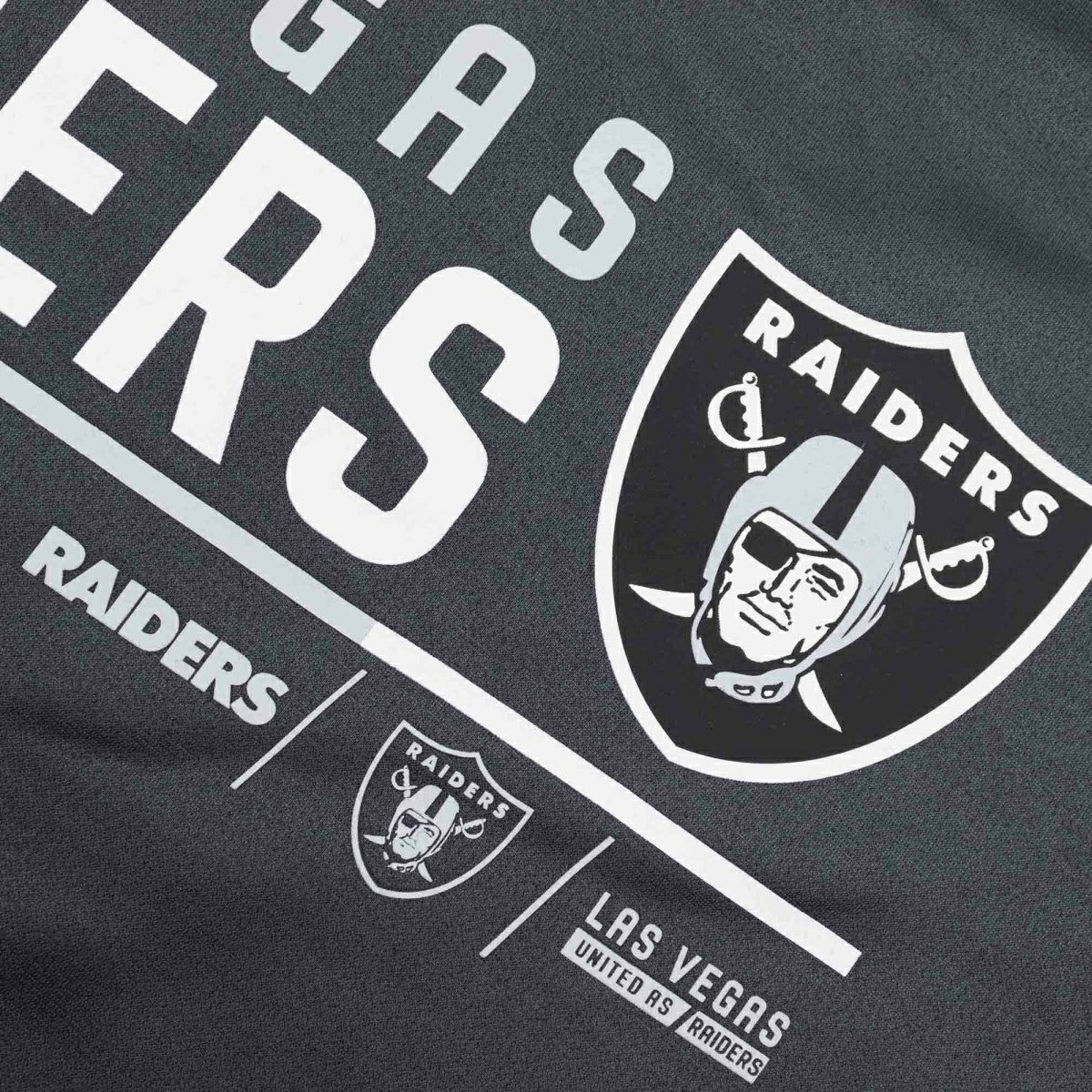 Las Vegas Raiders Community Therma Dri-FIT NFL Hoodie Anthracite Taass for sale