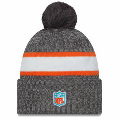 Miami Dolphins Gray 2023 NFL Sideline New Era Sport Knit Hat Taass US