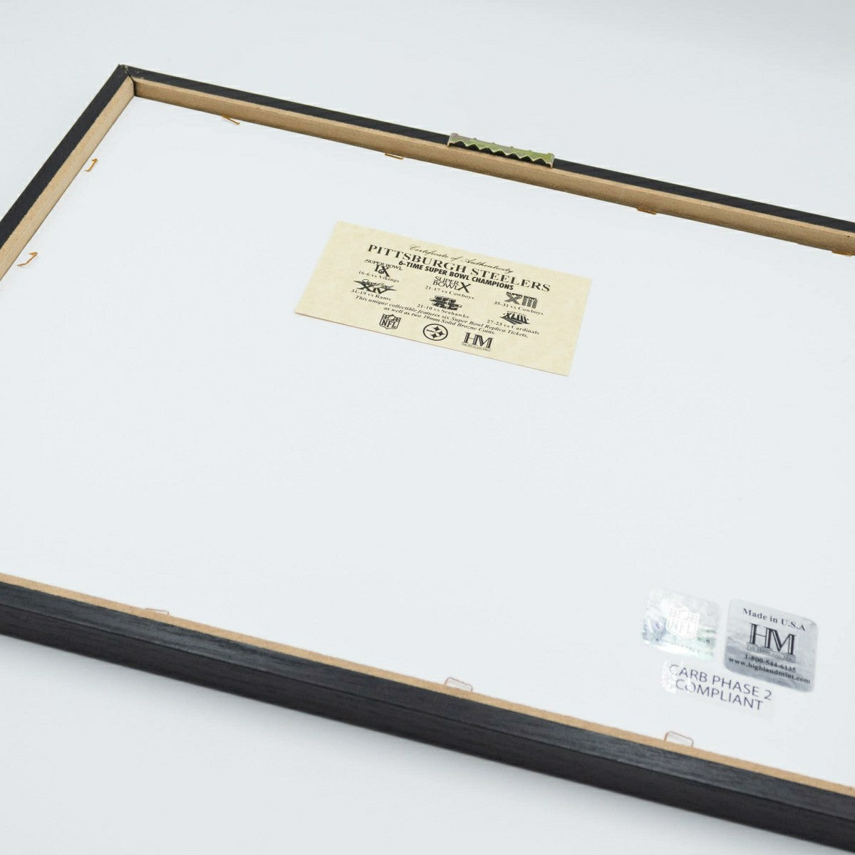 New England Patriots Super Bowl Tickets Silver Coins Framed NFL Photo Taass for sale