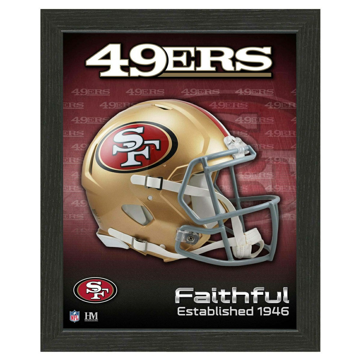 San Francisco 49ers NFL Team Helmet Framed Photo Taass for sale