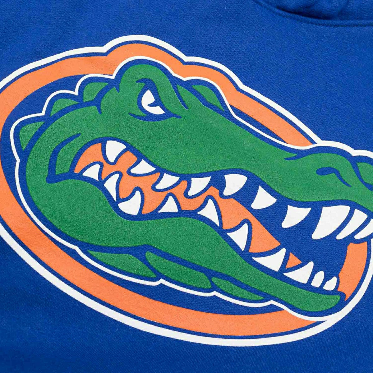 Florida Gators Primary Logo NCAA Hoodie Blue Taass US