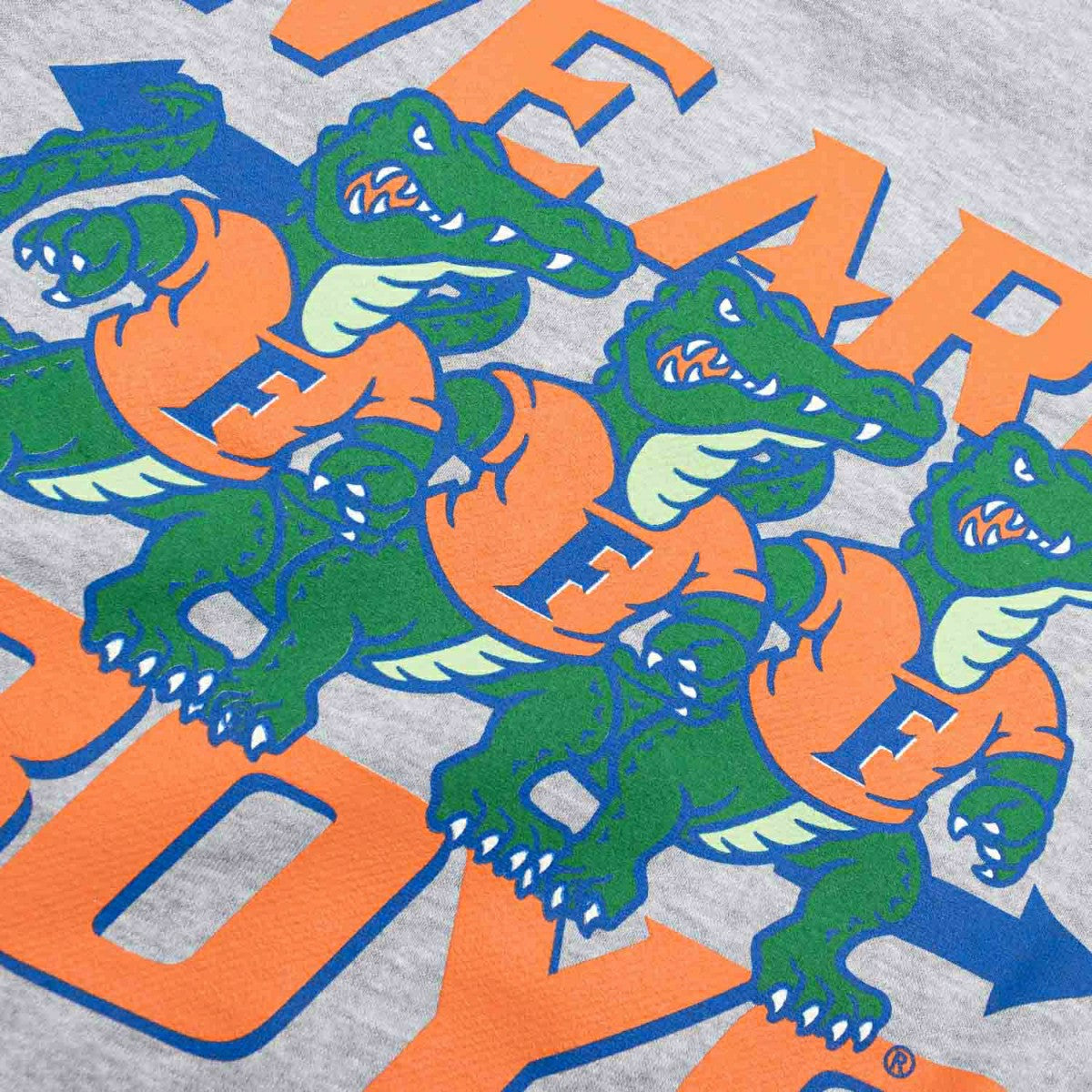 Florida Gators We Are Gator Boys Crew Sweatshirt Gray Taass for sale