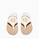 White & Gold